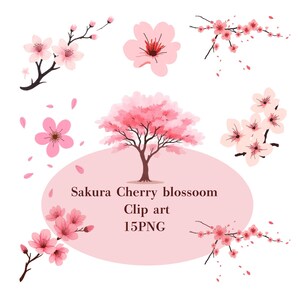 May include: A selection of pink Sakura cherry blossom clip art elements on a white backdrop. The image features individual flowers, branches, and a tree, with the text "Sakura Cherry blossom Clip art 15PNG" in a pink oval.