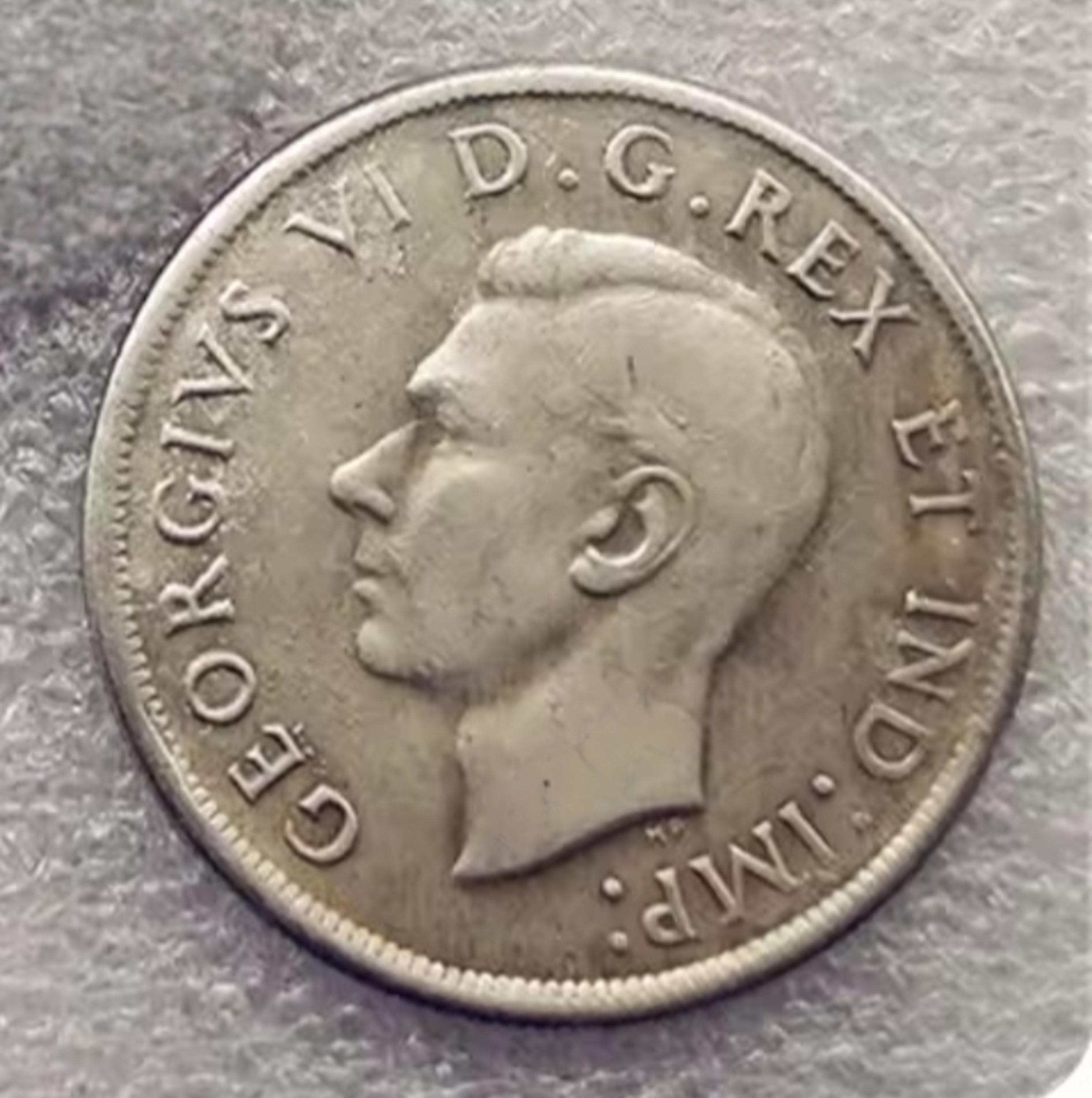 Canada 1 dollar coin - Etsy 日本