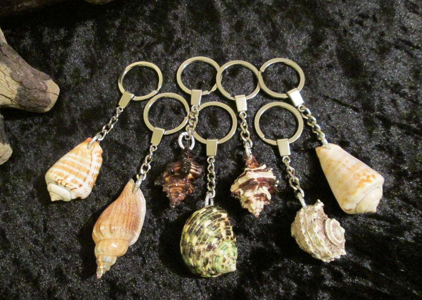 Genuine Sea Shell Key Ring Fob Key Chain Handmade in Etsy