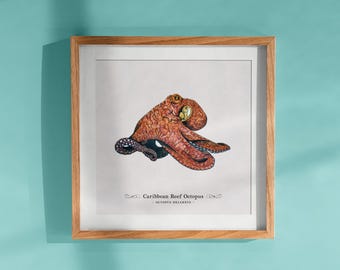 Reef Octopus Print, Ocean Wall Art, Caribbean Marine Life, Watercolor Illustration