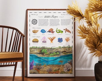 1000 Steps Bonaire Art Print, Caribbean Marine Life Watercolor Illustration