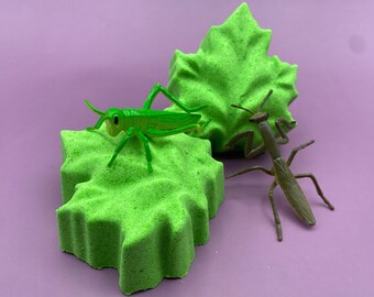 Green Leaf with Bug Figure Inside