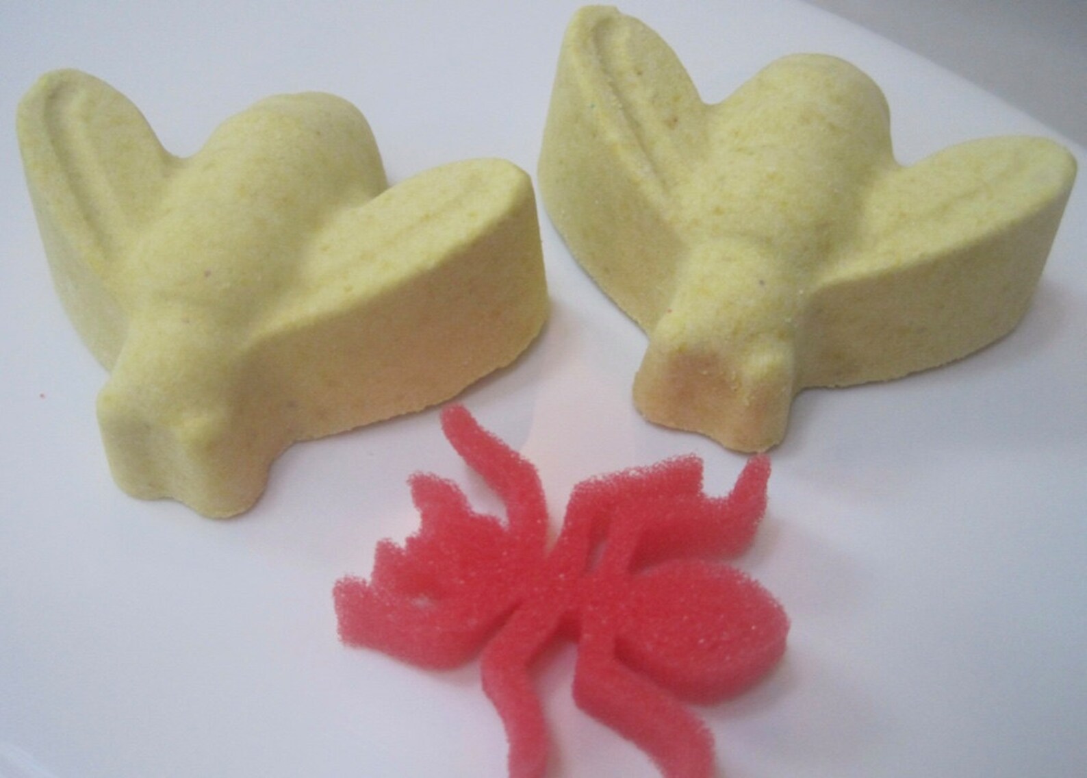 Dragonfly and Bumble Bee Bath Bombs with Insect Sponge Capsule Etsy