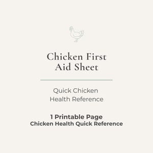 Puede incluir: Una hoja imprimible con el título "Chicken First Aid Sheet" y una ilustración de un pollo. El texto de abajo dice "Quick Chicken Health Reference" y "1 Printable Page Chicken Health Quick Reference."