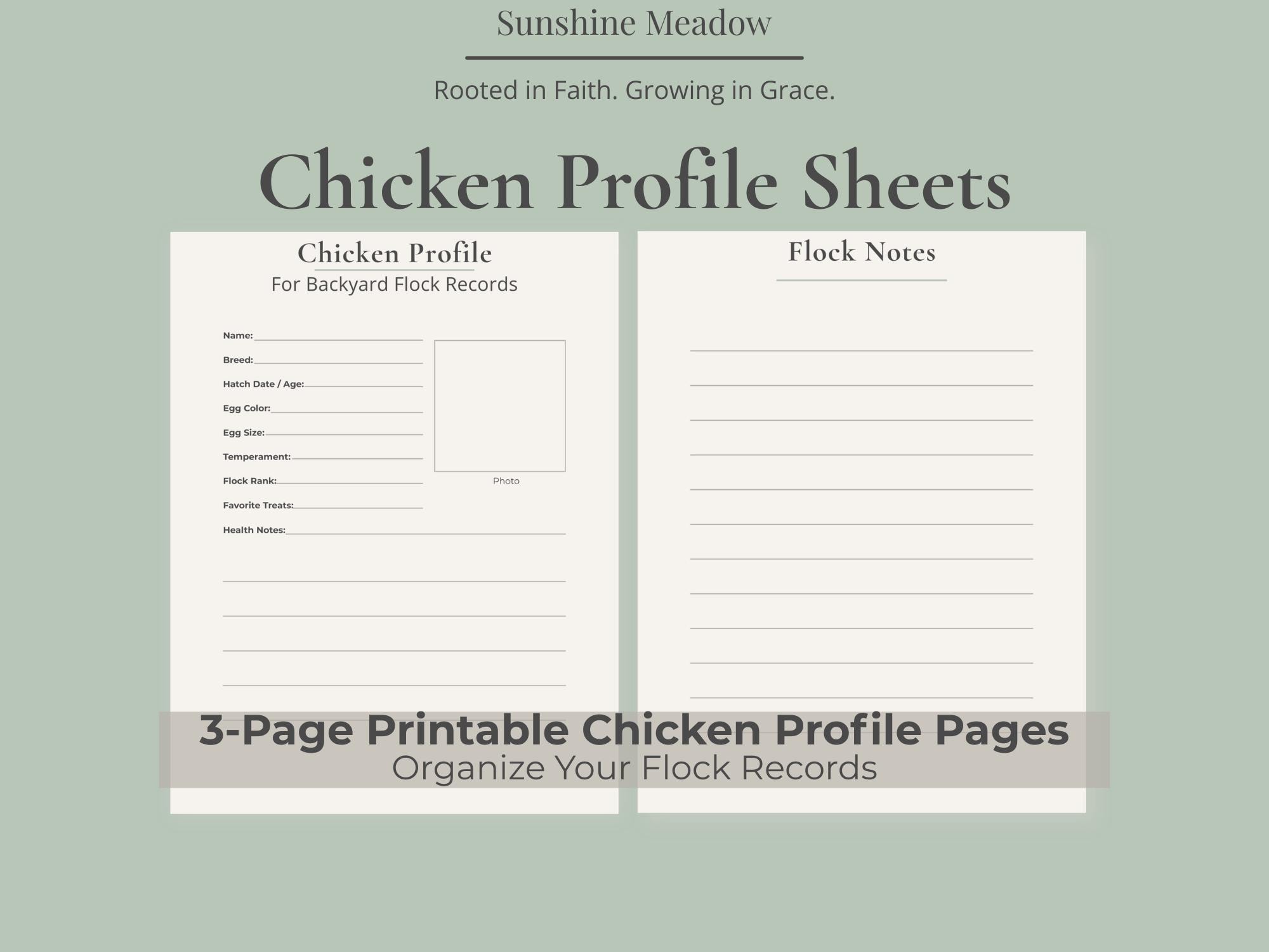 Chicken Profile Sheets | Chicken Record Pages & Flock Profiles ...