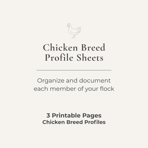 Chicken Breed Profile Sheets | Flock Profile & Hen Record Pages | Backyard Chicken Printable PDF