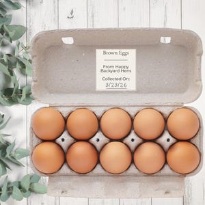 Étiquettes de couleur et de quantité pour la boîte à œufs | Couleur oeuf et étiquettes pour douzaine de cartons | Poulet de basse-cour PDF imprimable