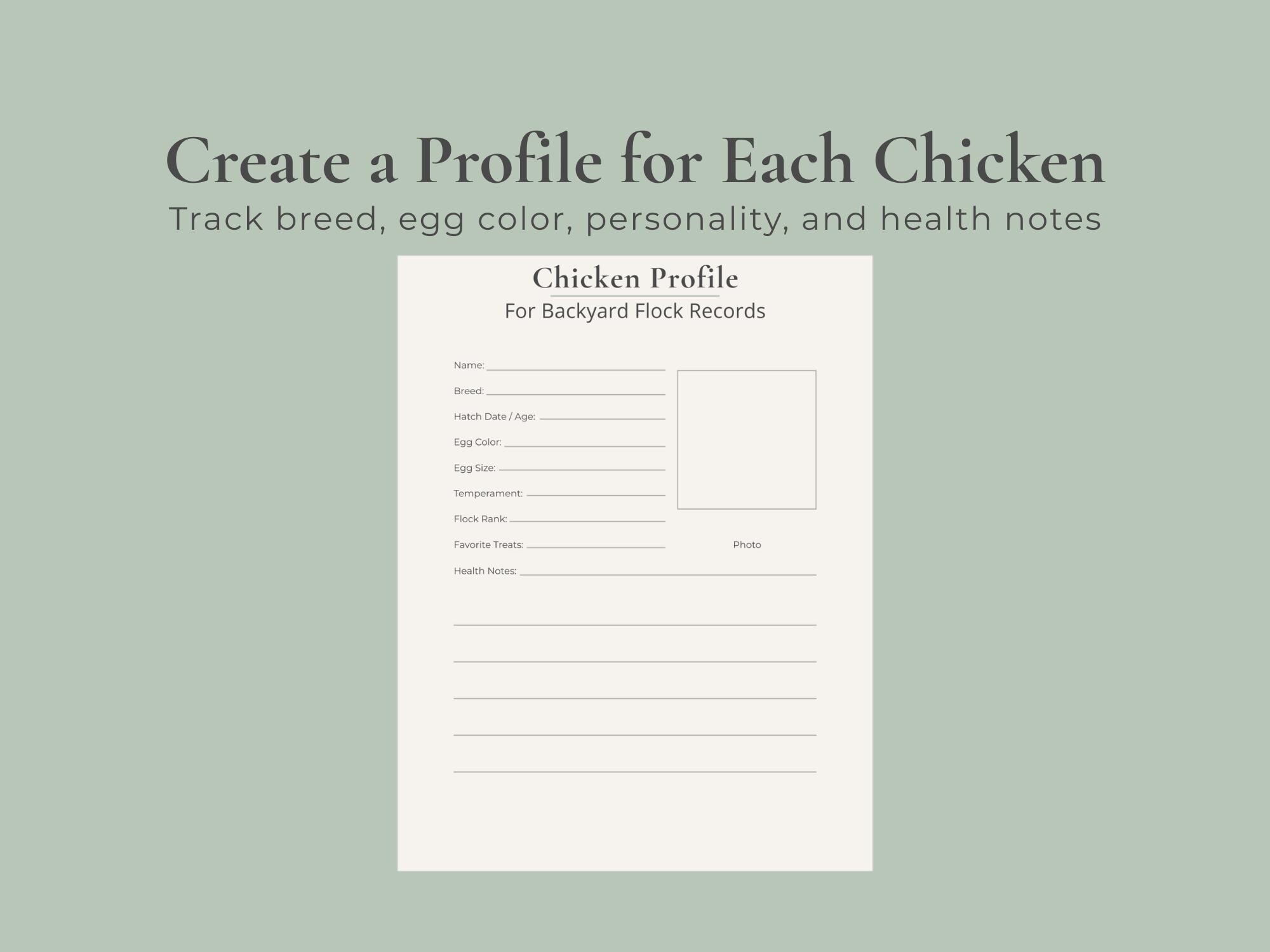 Chicken Profile Sheets | Chicken Record Pages & Flock Profiles ...