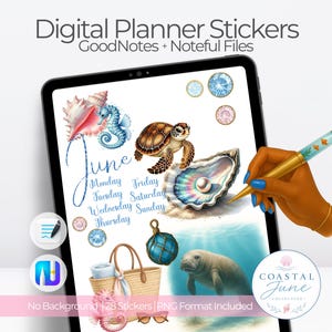 June Digital Planner Stickers for GoodNotes | Realistic Summer Sticker Bundle | Coastal Digital Stickers 2025 | Noteful Sticker Book