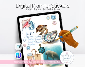 June Digital Planner Stickers for GoodNotes | Realistic Summer Sticker Bundle | Coastal Digital Stickers 2025 | Noteful Sticker Book