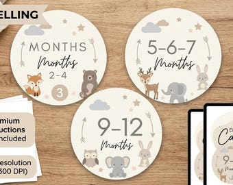 Baby Milestone Photo Props Template Editable Canva Printable 1-12 Months Instant Download