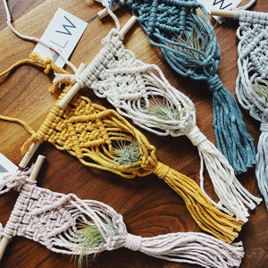 Macrame Air Plant Holder Pattern, Beginner DIY (PDF)