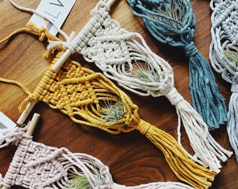 Macrame Air Plant Holder Pattern, Beginner DIY (PDF)