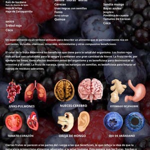 May include: Informative infographic titled "Superfoods" in Spanish, showcasing various fruits, herbs, and nuts. The image includes text and illustrations of foods like grapes, walnuts, and ginger, with related body parts.