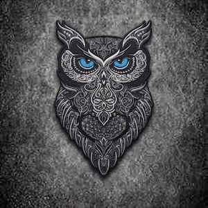 Large Blue Eyes Owl Embroidered Patch 12 Inch Iron On Applique for Jackets Vests Backpacks