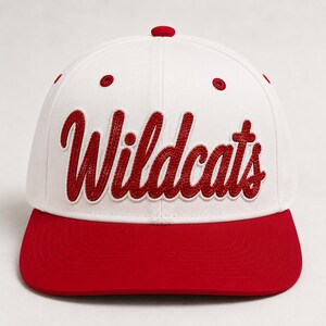 Custom Sequin Patch Hat, Embroidered Snapback Cap, Baseball Hat, Personalized Team Hat, Pirates Tigers Wildcats