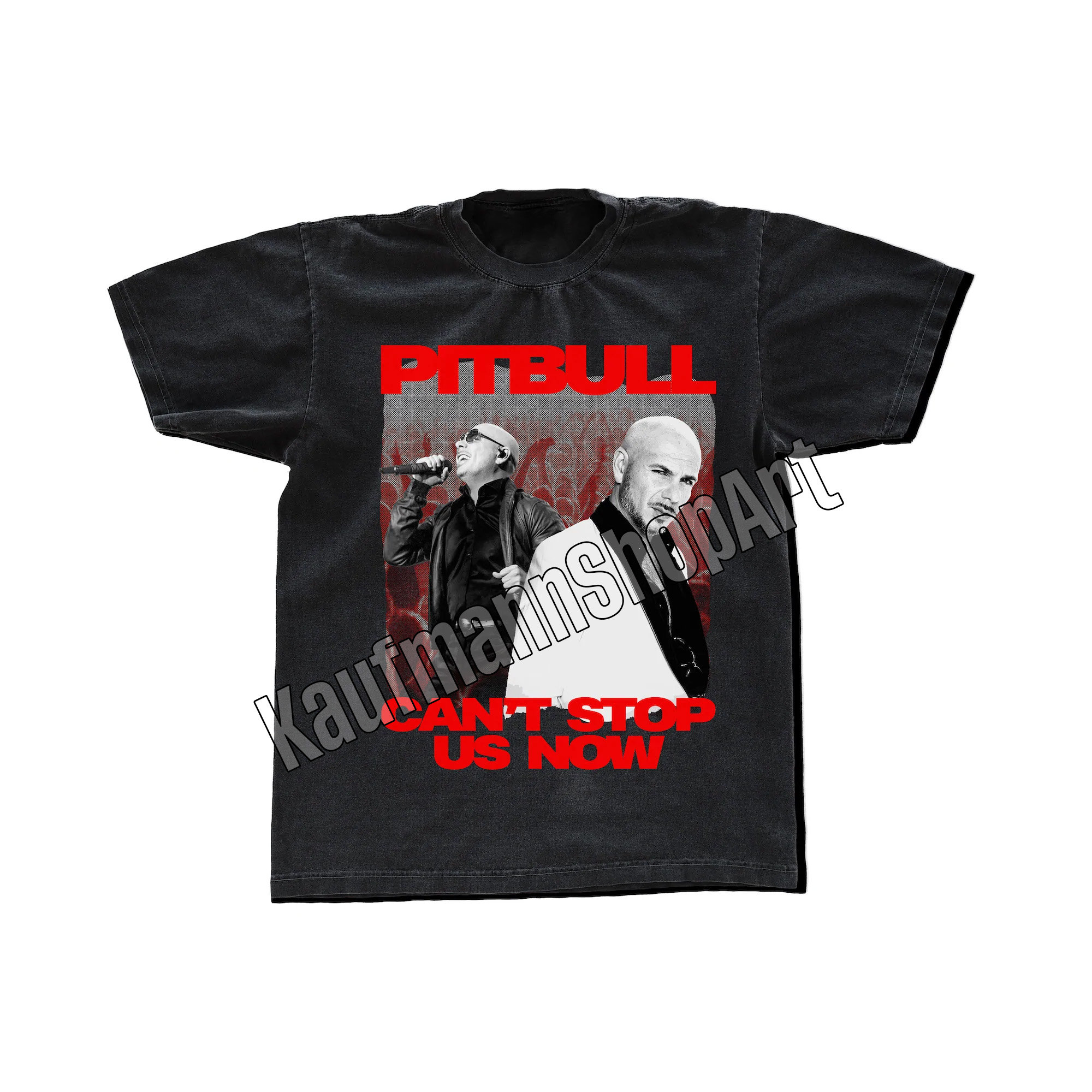 Discover Pitbull Can't Stop Us Now Tour Date Pitbull Summer Tour 2022 T-Shirt