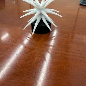 以下が含まれることがあります： 白く尖った装飾品で、星が爆発したように見える斑点模様が特徴です。黒い円筒形の台座の上に置かれています。磨かれた茶色の木製の表面に展示されています。