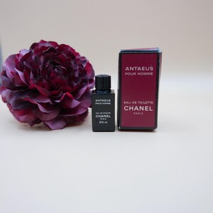 May include: A black bottle of Chanel Antaeus Pour Homme Eau de Toilette, with a matching box, next to a dark red flower. The bottle and box have white text. The bottle reads "80% vol."