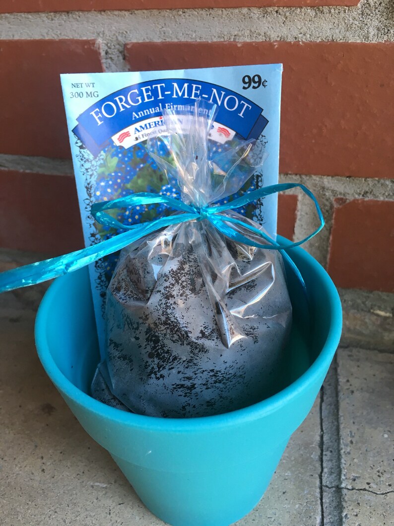 Plant Labels Garden Labels Gardening Flower Flower Labels Etsy