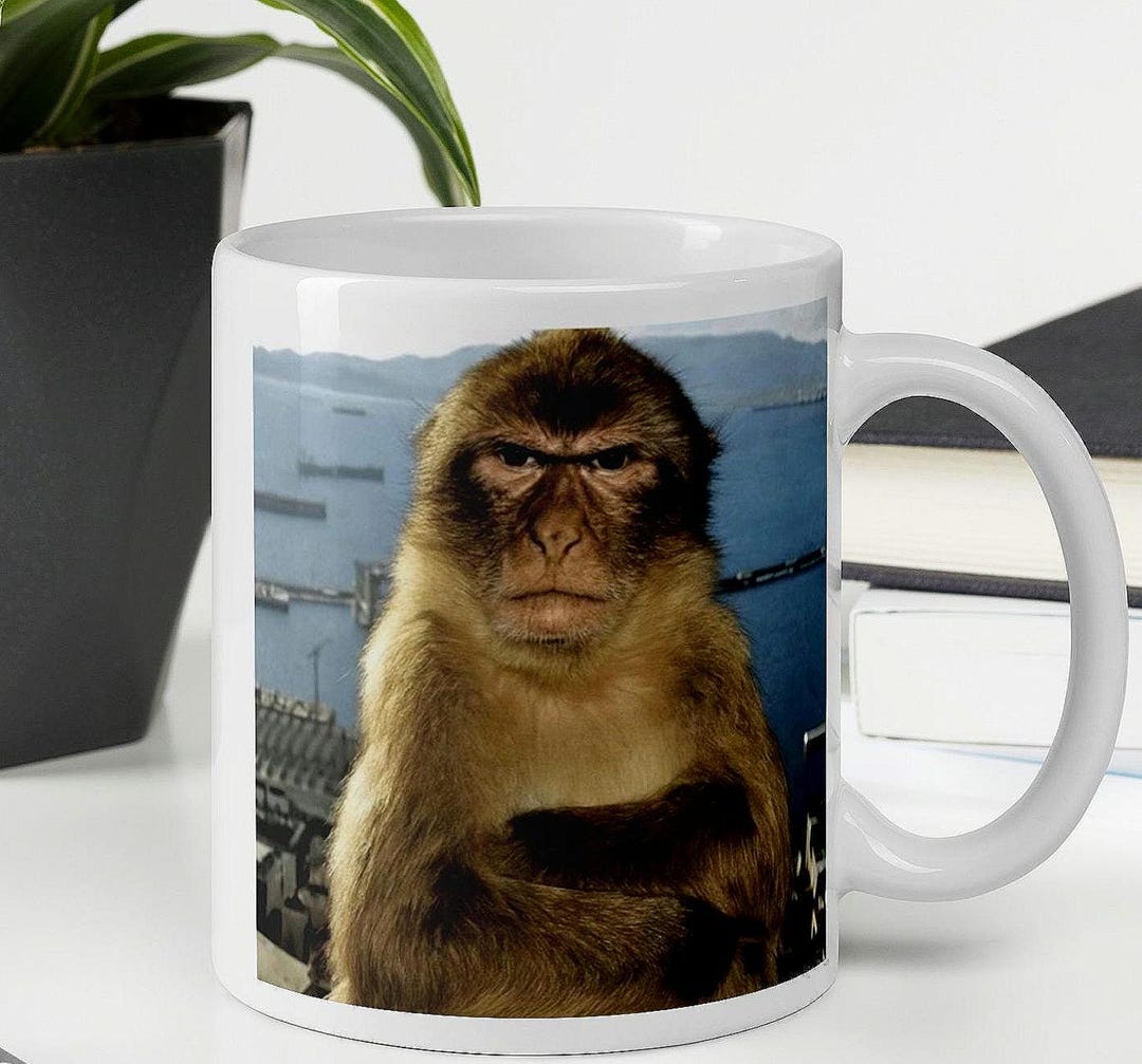 Funny Monkey Meme Mug | Angry Monkey Coffee Cup - Etsy
