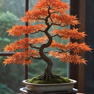 May include: A bonsai tree with bright orange leaves, displayed in a rectangular ceramic pot. The tree's twisted trunk and branches are visible, and the pot rests on a dark wooden stand. The background shows a window with a blurred view of greenery.