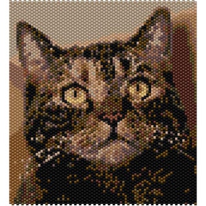 Brown Tabby Cat Tapestry Peyote Bead Pattern, Cat Wall Art Seed Beading Pattern, Miyuki Delica Size 11 Beads - PDF Instant Download
