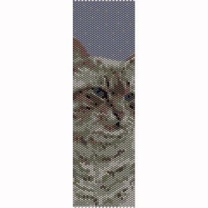 Peyote Cat #4 Kraalpatroon, Armband Manchet, Bladwijzer, Zaadkraalpatroon Miyuki Delica Maat 11 Kralen - PDF Instant Download