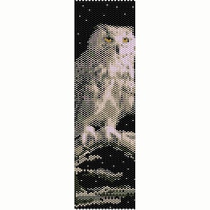 May include: A white owl with yellow eyes perched on a branch against a black background with white stars. The owl is facing forward and its feathers are detailed.