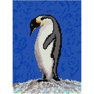 Può includere: Un pinguino bianco e grigio con un becco arancione si trova in piedi su una superficie ghiacciata bianca e grigia su uno sfondo blu.