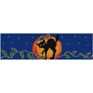 Puede incluir: Una silueta de gato negro contra una luna de calabaza naranja brillante con enredaderas verdes y un fondo de cielo nocturno azul estrellado.