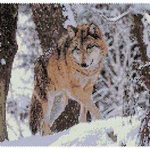 Könnte beinhalten: Ein brauner und weißer Wolf steht in einem schneebedeckten Wald. Der Wolf schaut direkt in die Kamera. Der Hintergrund ist ein schneebedeckter Wald mit Bäumen und Ästen.
