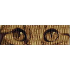 Cat Eyes Peyote Bead Pattern, Bracelet Cuff, Bookmark, Seed Beading Pattern Miyuki Delica Size 11 Beads - PDF Instant Download