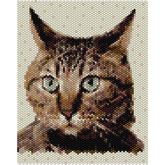 5+ Thousand Cat Beads Royalty-Free Images, Stock Photos & Pictures