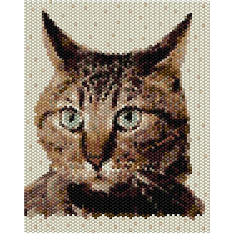 Op de afbeelding: Een close-up van het gezicht van een tabbykat. De kat heeft groene ogen en bruin en zwart haar. De kat kijkt recht in de camera.