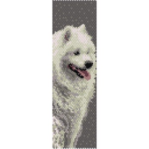 May include: A white Samoyed dog with a pink tongue sticking out, looking to the right. The dog is against a gray background.