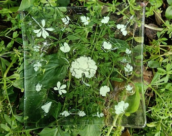 Bandeja de vidrio fundido, arte rústico botánico, colección: "El espíritu de sílice"
