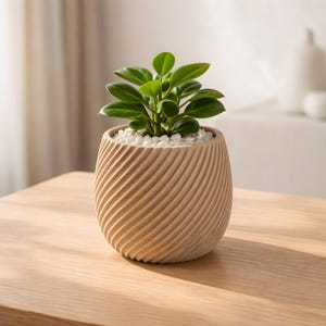 Modern 3D Printed Planter Pot for Succulents, Minimalist Desk Decor