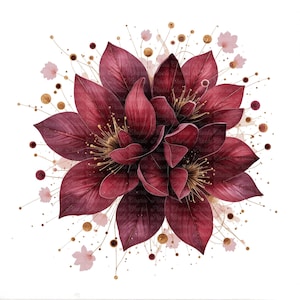 5 Clipart di bouquet di fiori bordeaux, floreali per matrimonio, clipart di acquerelli stampabili, download digitale di alta qualità, creazione di carta, diario di scarto