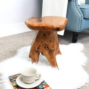 Cedar Root Stool – Natural Wood Side Table & Plant Stand