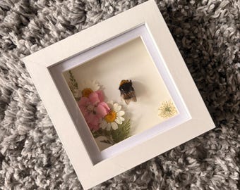 Taxidermy queen bee mounted alongside home pressed dried flowers