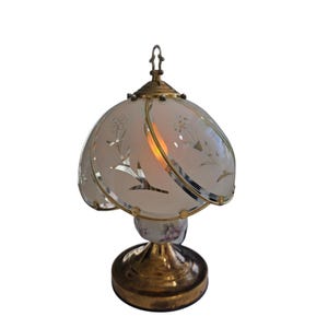 May include: A vintage table lamp with a frosted glass shade featuring etched floral designs. The lamp has a brass-colored base and trim, and a decorative floral ceramic accent. The lamp is lit, casting a warm glow.