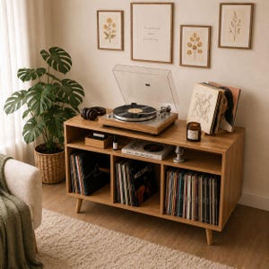Può includere: Una console per giradischi in legno con giradischi, dischi in vinile e stampe botaniche incorniciate. La console ha più scomparti pieni di dischi in vinile. Una pianta in vaso e un tappeto completano la scena.