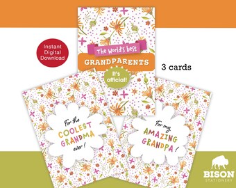 Grandparent's Day Card BUNDLE (Digital Download) Lively Vibrant, Hand Painted Flowers, Floral Card, Printable