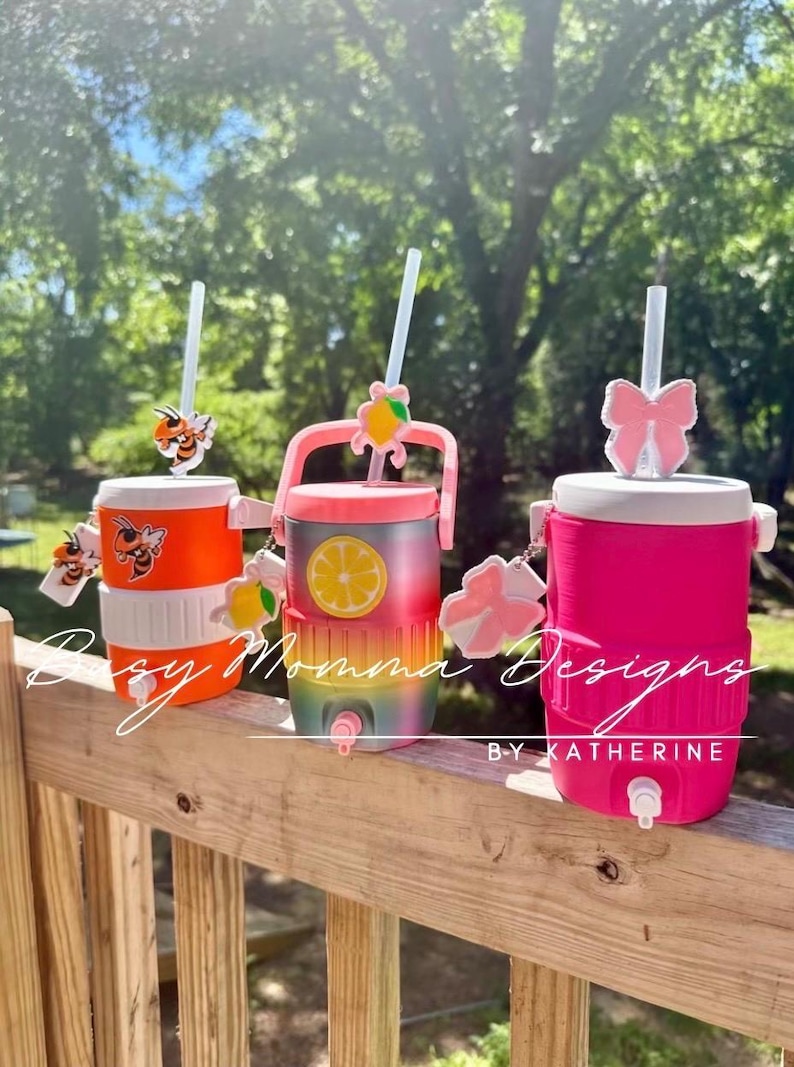 May include: Three insulated drinks coolers with straws and decorative charms. One is orange and white with bee accents, another is rainbow-coloured with a lemon, and the third is hot pink with a bow. The text "Daisy Momma Designs" is visible.