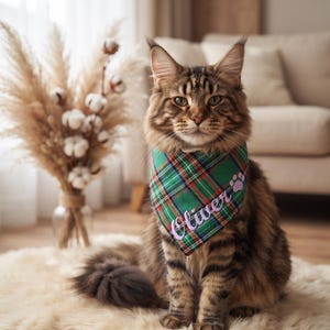Puede incluir: Un gato atigrado marrón de pelo largo lleva un pañuelo para mascotas con estampado de cuadros verdes, rojos y azules. El pañuelo presenta el nombre Oliver bordado en letras cursivas de color violeta claro y un pequeño icono de huella.