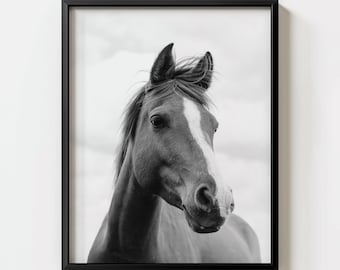 Black And White Horse Portrait, Fine Art Equine Photography, Rustic Farmhouse Wall Decor, Digital Download