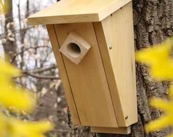 2 Peterson Bluebird Houses