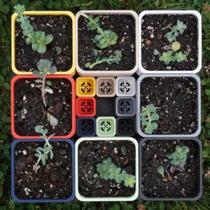 May include: A grid of square planters in various colors including yellow, red, blue, white, and beige, each filled with dark soil and small green succulent plants. In the center, a cluster of smaller, empty square pots with grid bases.