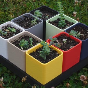 Root Ritual 3" Cube Planter